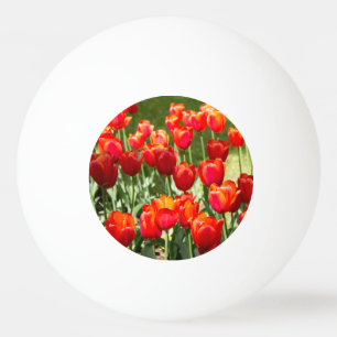 Grosses Feld roter Tulpen Tischtennisball
