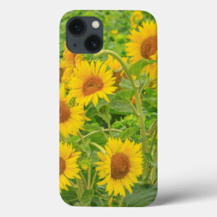 Grosses Feld von Sonnenblumen in der Nähe von Mose Case-Mate iPhone Hülle