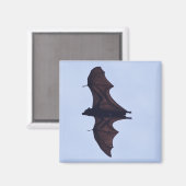 Großes Fliegenbett Magnet (Vorderseite/Rückseite)