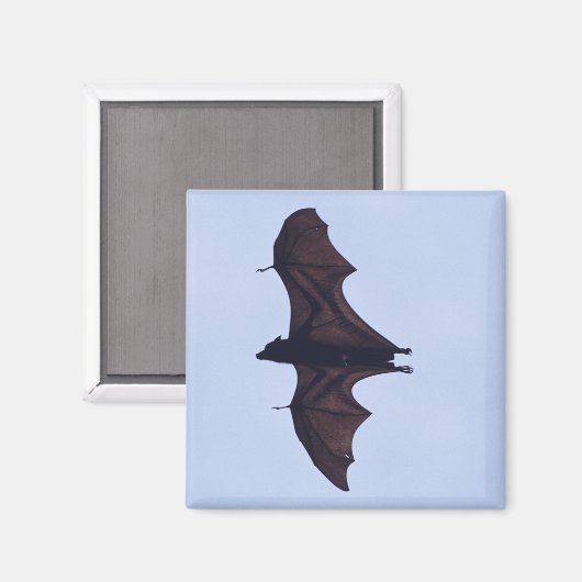 Großes Fliegenbett Magnet (Vorderseite/Rückseite)