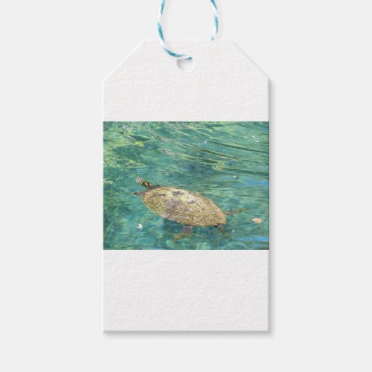 Großes Flussschildkrötenschwimmen Geschenkanhänger (Vorderseite)