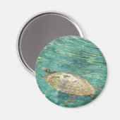 Großes Flussschildkrötenschwimmen Magnet (Vorderseite/Rückseite)