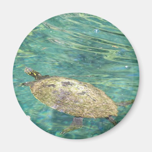 Großes Flussschildkrötenschwimmen Magnet (Vorne)
