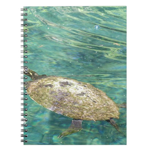 Großes Flussschildkrötenschwimmen Notizblock (Vorderseite)