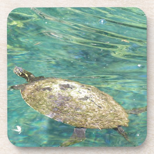 Großes Flussschildkrötenschwimmen Untersetzer (Vorderseite)