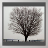 Grosses Foto Poster (Vorne)