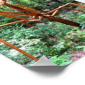 Grosses Gebet-Mantis-Poster Poster (Ecke)