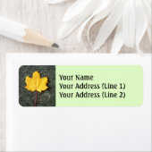 Grosses gelbes/orangefarbenes Herbstleder