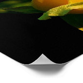 Großes Gelbrosenposter Poster (Ecke)