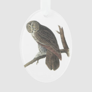 Großes Grau-Eule durch Audubon Ornament