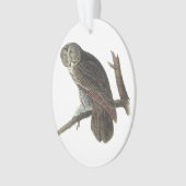 Großes Grau-Eule durch Audubon Ornament (Vorderseite)