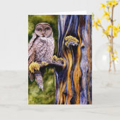 Großes Grau-Eule, Gruß-Karte Karte (Gelbe Blume)