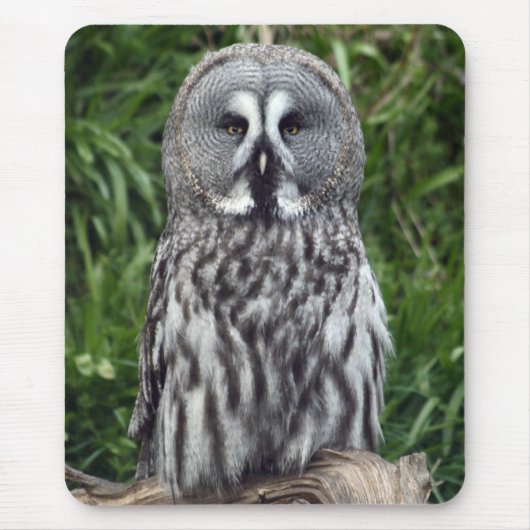Großes Grau-Eule Mousepad (Vorne)