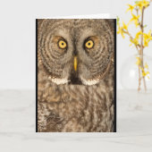 Großes Grau Eulen-Grußkarte Karte (Gelbe Blume)