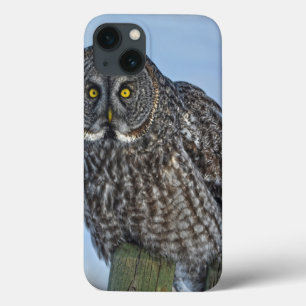 Großes graues Eule auf einem Foto der Wildfauna Case-Mate iPhone Hülle
