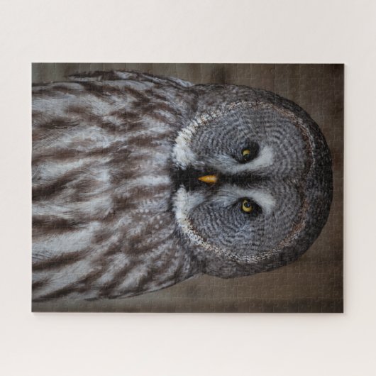 Großes graues Eule Stehend Puzzle (Horizontal)