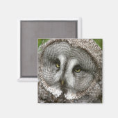 Großes graues Owl Magnet (Vorderseite/Rückseite)