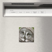 Großes graues Owl Magnet (In Situ (Geschirrspüler))