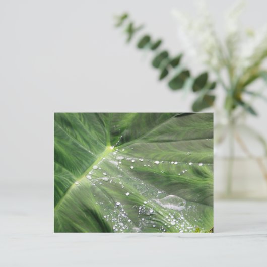 Grosses Grün verlassen mit Wasserkarte Postkarte (Stehend Vorderseite)