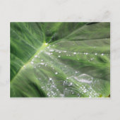 Grosses Grün verlassen mit Wasserkarte Postkarte (Vorderseite)