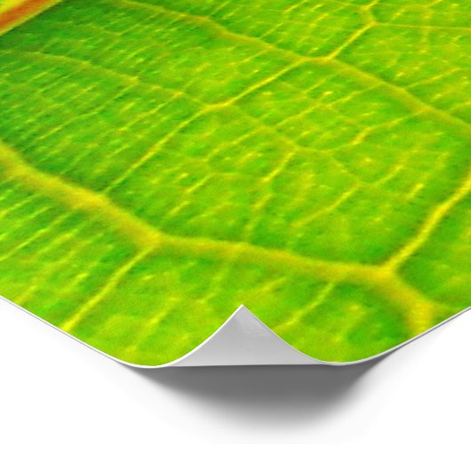 Großes Grünes Leaf-Poster Poster (Ecke)