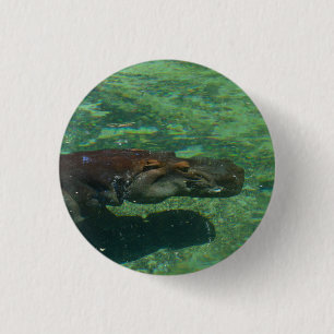 großes Hippo-Schwimmen unter Wasser, Button