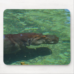 großes Hippo-Schwimmen unter Wasser, Mousepad