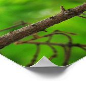 Großes Horned Owl-Foto Poster (Ecke)