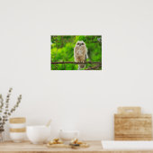 Großes Horned Owl-Foto Poster (Küche)