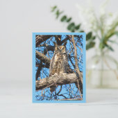 Großes Horned Owl-Foto Postkarte (Stehend Vorderseite)