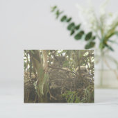 Großes Horned Owl Nest Postkarte (Stehend Vorderseite)