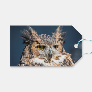 Großes Horned Owl Portrait Geschenkanhänger