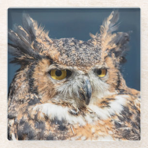 Großes Horned Owl Portrait Glasuntersetzer
