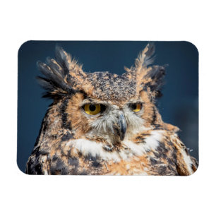 Großes Horned Owl Portrait Magnet