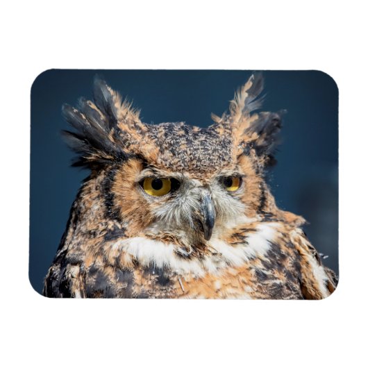 Großes Horned Owl Portrait Magnet (Horizontal)