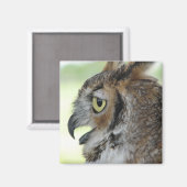 Großes Horned Owl Portrait Magnet (Vorderseite/Rückseite)