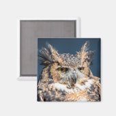 Großes Horned Owl Portrait Magnet (Vorderseite/Rückseite)