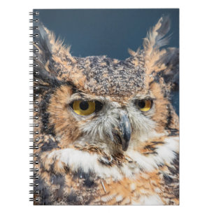 Großes Horned Owl Portrait Notizblock