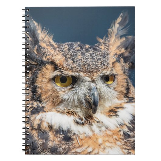 Großes Horned Owl Portrait Notizblock (Vorderseite)