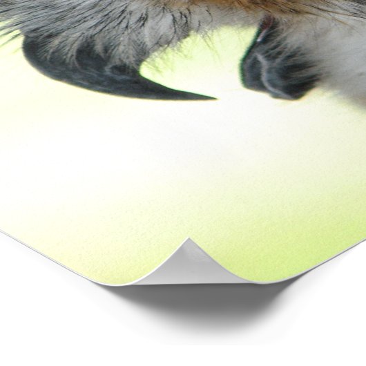 Großes Horned Owl Portrait Poster (Ecke)