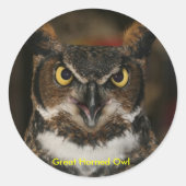 Großes Horned Owl Stickers (Vorderseite)