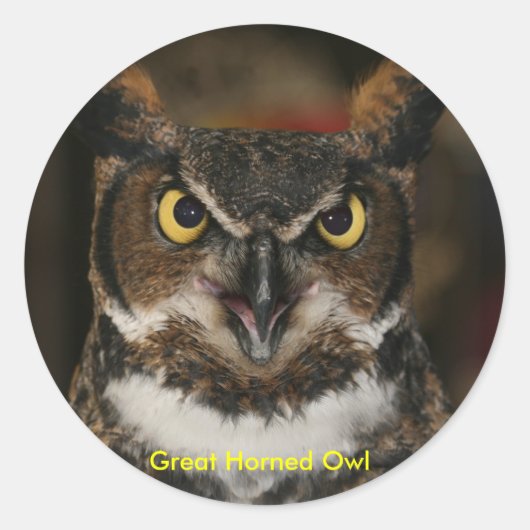 Großes Horned Owl Stickers (Vorderseite)