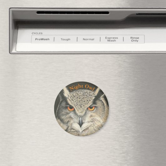 Großes Hornhaut Magnet (In Situ (Geschirrspüler))