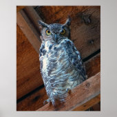 Großes Hornhaut-Poster drucken Poster (Vorne)