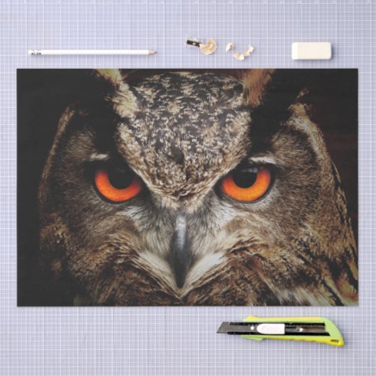 Großes Hornhautgewebe Seidenpapier (Handwerk)