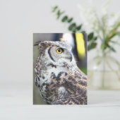 Großes Hornhautprofil Postkarte (Stehend Vorderseite)