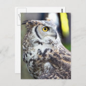 Großes Hornhautprofil Postkarte (Vorne/Hinten)