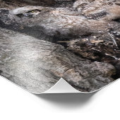 Großes Hornhuhn und Kugeln Fotodruck (Ecke)