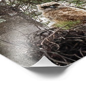 Großes Hornhuhn und Owlet Fotodruck (Ecke)