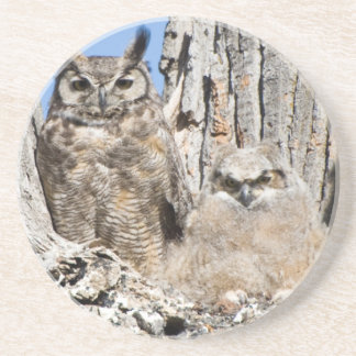 Großes Hornhuhn und Owlet Untersetzer